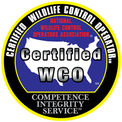Certified Wildlife Control Operator